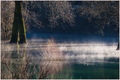 fog, frogs,duc&hellip;