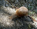 Poslijepodne j&hellip;