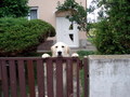 POGLED PREKO P&hellip;