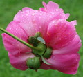 S DRUGU STRANU&hellip;