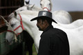 Horses and fac&hellip;