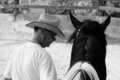 The horse whis&hellip;
