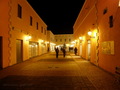 Roses outlet 1