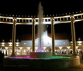 Roses outlet 2