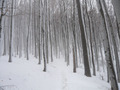 pogled u zimsk&hellip;