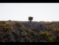 Skradin - Stab&hellip;
