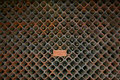 ILOK - graševi&hellip;