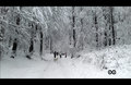 01.12.2012. -P&hellip;