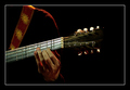 Turska bass gi&hellip;