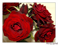 Roses are red.&hellip;