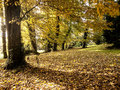 Arboretum boln&hellip;