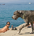 doga sa zeleno&hellip;