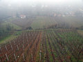 ludbreski vino&hellip;