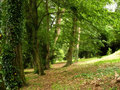 parkovna