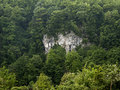 stjenovita šum&hellip;