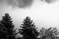 Dolazak nevrem&hellip;