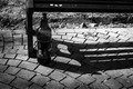 doručak u park&hellip;