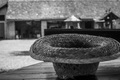 sunceglavočuva&hellip;