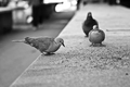 Na markatu - S&hellip;