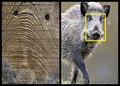 foto Robert Gi&hellip;