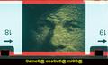 Rembrandt izbl&hellip;