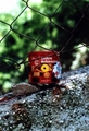 ©ame®@ obs©u®@&hellip;