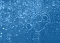VODOGRAFIJA 20&hellip;