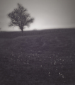 I still feel t&hellip;