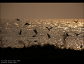 Last Lights of&hellip;