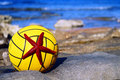 waterpolo zvij&hellip;