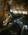 Grotta Gigante