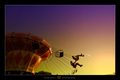 Reaching for t&hellip;