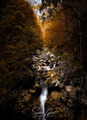 Sava Bohinjka &hellip;
