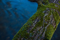 Tree on the ri&hellip;