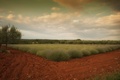 Lavanda... pre&hellip;