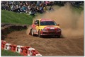 rally prasina.&hellip;