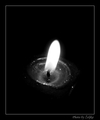 Light in the d&hellip;