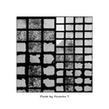 Prozorčići . .&hellip;