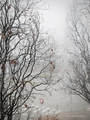 Pogled s moga &hellip;