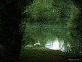 Imam nešto važ&hellip;