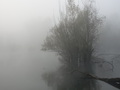 Magleno jutro &hellip;
