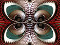 Butterfly in T&hellip;