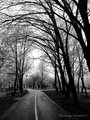 My way...Bunde&hellip;