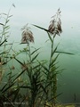 Uz jezero Raki&hellip;