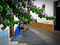 Portugal - Obi&hellip;