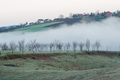 mladi vočnjak &hellip;