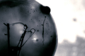 organic_electr&hellip;