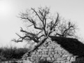 Staro prijatel&hellip;