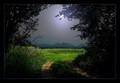 nocna bajka