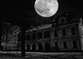 Black winter n&hellip;